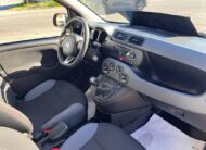 FIAT PANDA 1.3 M. JET 95 CV EASY