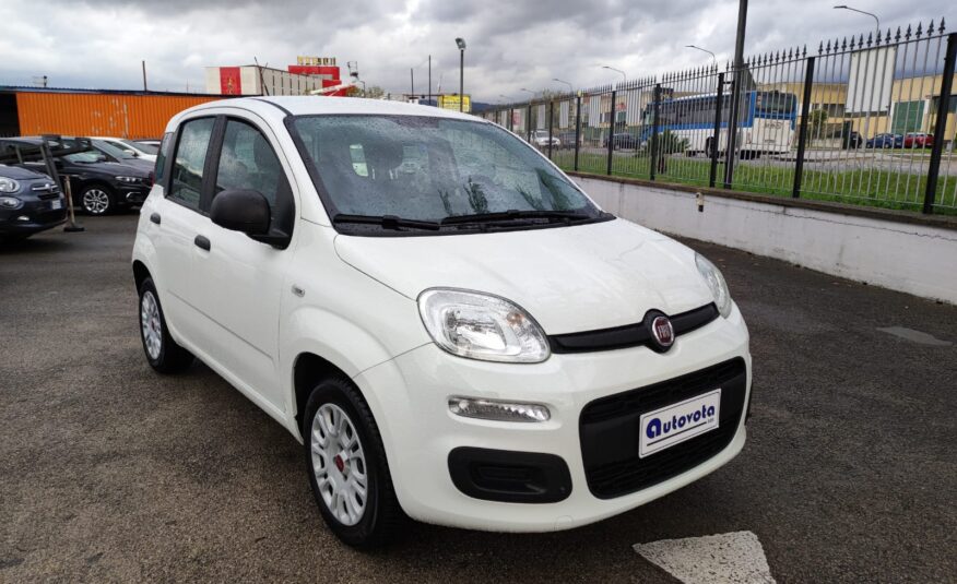 FIAT PANDA 1.2 69 CV EASY