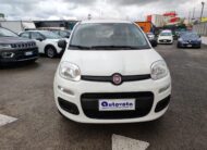 FIAT PANDA 1.2 69 CV EASY