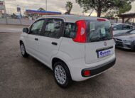 FIAT PANDA 1.2 69 CV EASY