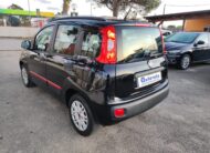 FIAT PANDA 1.2 69 CV EASY