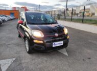 FIAT PANDA 1.2 69 CV EASY